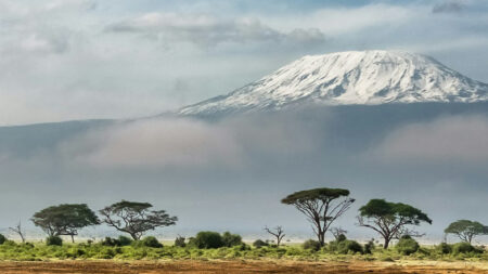 Tansanía: Gönguferð á Mt. Meru og Kilimanjaro janúar 2025